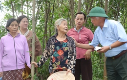 Theo chân người lính già đi tìm đồng đội giữa cái nắng bỏng rát