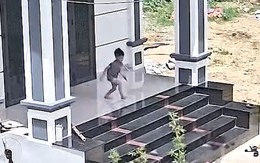 Bé trai tiếp đất bằng mông vì nghĩ mình là Người Nhện
