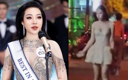 Á hậu ném gạch vào nhà bạn và những vụ sao Việt chửi bới, đánh người vì say xỉn