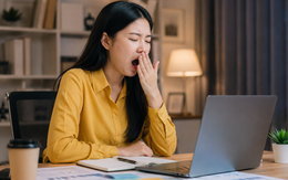 Phát hiện 'công tắc buồn ngủ' trong não, mở hướng mới trị mất ngủ