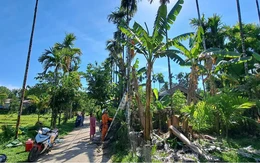 Xóa vùng 'lõm điện' ở thôn Lâm Bình Phương
