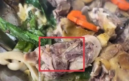Tạm đình chỉ cơ sở nấu ăn bị tố có giòi trong món gà