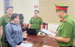 Làm CCCD giả đi vay, chiếm đoạt 11 tỉ đồng