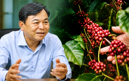 Nâng cấp vị thế cà phê Robusta Việt Nam bằng thương hiệu quốc gia