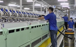 Mỹ áp thuế 12,5%: Bộ Công Thương cảnh báo loạt rủi ro, khuyến cáo doanh nghiệp chủ động ứng phó