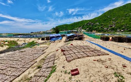 Cung đường ven biển đẹp nhất Phú Yên bốc mùi vì sơ chế mực xà