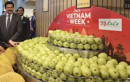 Tập đoàn bán lẻ quốc tế 'săn' nhà cung cấp Việt Nam cho nhãn hàng riêng