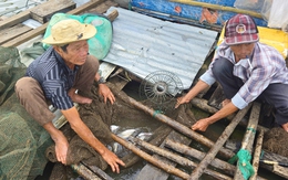 Doanh nghiệp và người nuôi cá trong hồ thủy lợi Ia Mơ đạt 'tiếng nói chung'