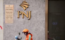 PNJ bổ nhiệm nhân sự phụ trách quản trị, không sở hữu cổ phiếu của PNJ