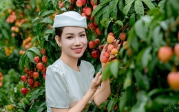 Vải thiều Bắc Ninh thắng lớn, tổng doanh thu vượt 9.000 tỉ đồng