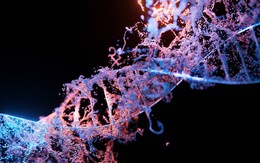 Phát hiện hai 'dòng dõi ma' ẩn trong DNA người