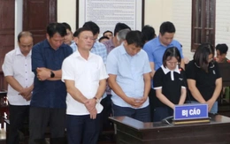 Cựu phó chủ tịch huyện cùng 11 thuộc cấp lãnh án tù vì cấp đất sai