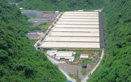 Khởi tố vụ án tai nạn lao động làm 5 người chết tại trại nuôi heo ở Thanh Hóa