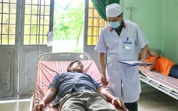 Trại rắn Đồng Tâm cảnh báo nguy cơ rắn độc cắn tăng cao vào mùa mưa lũ