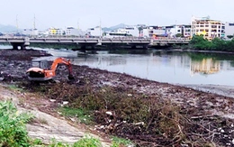Đã chặt bỏ một phần dãy cây gây cản thoát lũ ở dự án hơn 593 tỉ đồng tại Nha Trang