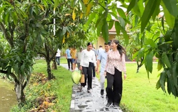 Mô hình nghỉ dưỡng thu hút du khách ở thủ phủ xoài Cao Lãnh