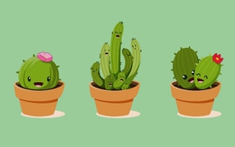 Quiz: Điều gì làm bạn khó chịu nhất?