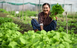 Nông nghiệp bền vững