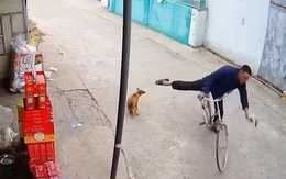 Thanh niên ngã sấp mặt vì trêu chó