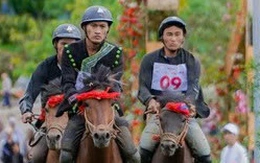 Hà Nội duyệt quy hoạch tổ hợp trường đua ngựa 30.000 chỗ ngồi và biệt thự 4 sao ở Sóc Sơn