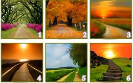 Quiz: Bạn là người thế nào?