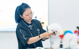 Grooming hiện đại mở rộng biên độ nghề Thú y cho người trẻ