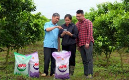 Sắc vui đến từ những câu chuyện thật và niềm tin ‘Mùa vàng thắng lớn’