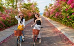 Ngàn hoa rừng về phố biển Quy Nhơn trong mùa lễ hội tháng 8