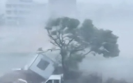 Video bão Dolphin sức gió 151km/h càn quét, Trung Quốc sơ tán khẩn 1,5 triệu người