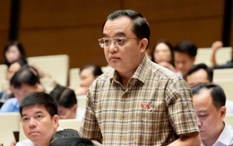Đại biểu Quốc hội cảnh báo 'người thứ ba khuất sau màn hình' khi hòa giải trực tuyến