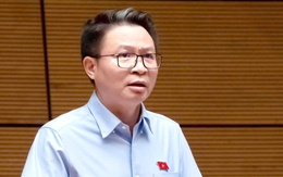 Quốc hội tranh luận về bầu, chỉ định hòa giải viên cơ sở