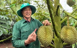 Bộ Nông nghiệp và Môi trường đàm phán với Trung Quốc thống nhất tiêu chuẩn kiểm nghiệm sầu riêng