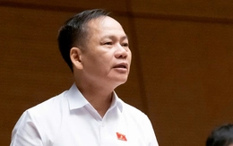Đại biểu Quốc hội đề xuất cấm xuất cảnh với người lao động vi phạm pháp luật ở nước ngoài
