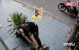 Tên trộm nhổ cây phát tài để lấy chậu kiểng