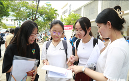 Sắp xếp trường học