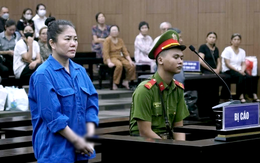 1.300 tỉ góp vốn trồng sâm: ‘Vì tham tiền lấy lãi, tôi lao mình vào Tập đoàn Mỹ Hạnh’