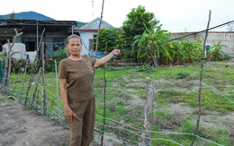 Người dân ven biển Quảng Trị sống khổ vì gần 10 năm 'mắc kẹt' trong dự án 'treo'