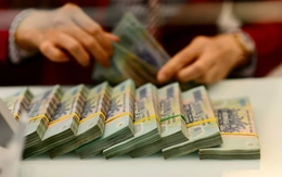 Lợi nhuận doanh nghiệp trên sàn tăng gần 50%, nhóm nào đang kéo cả thị trường?