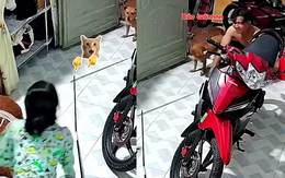 Chồng bất lực nhìn chiếc cần câu yêu quý gãy ngay trước mắt