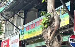 Đầu bếp không áo chế biến món ăn, quán hải sản từng bị phạt ở Nha Trang lại bị phạt