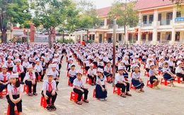 Sắp xếp trường học