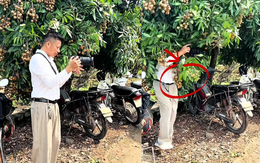 Cameraman nước mình 'vất vả' quá