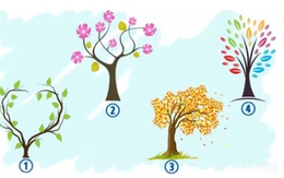 Quiz: Cảm xúc nào đang chi phối cuộc sống của bạn?