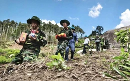 Quy tập hài cốt liệt sĩ ở núi Cư Jú cùng di vật túi tài liệu, dây điện thông tin, tuýp kem đánh răng