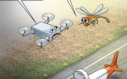 Drone bay lạc Tân Sơn Nhất: Món đồ chơi vài ký gây hậu quả 'nặng ký'