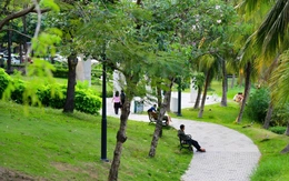 Đừng để công viên xanh thành 'ốc đảo'