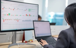 Chứng khoán 14-8: VN-Index rung lắc, vùng hỗ trợ nào đang được chờ đợi?