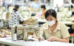Ách tắc cấp C/O tại địa phương, doanh nghiệp xuất khẩu kiến nghị tháo gỡ khẩn cấp