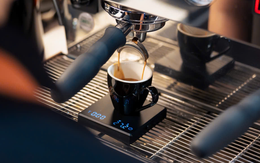 Làm mới ly cà phê Việt: Khi Robusta không còn đắng khét