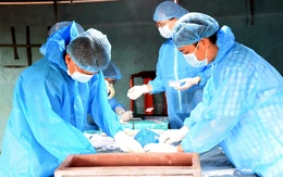 'Chiến dịch 500 ngày đêm' đón các anh trở về